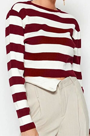Stil Modern Kadın Crop Standart Kol Bisiklet Yaka Basic Çizgili Triko Kazak