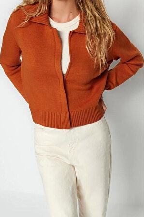 Kadın Modern Tarz Regular Polo Yaka Regular Triko Hırka