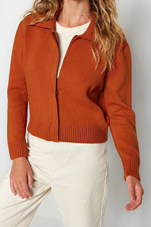 Kadın Modern Tarz Regular Polo Yaka Regular Triko Hırka