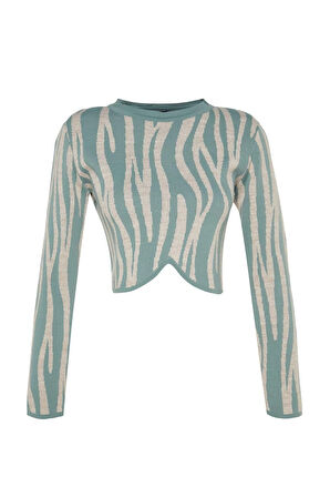 Stil Modern Kadın Crop Standart Kol Bisiklet Yaka Renk Bloklu Triko Kazak