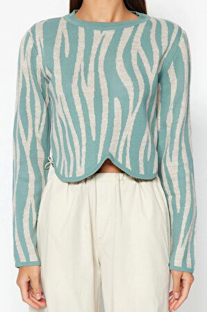 Stil Modern Kadın Crop Standart Kol Bisiklet Yaka Renk Bloklu Triko Kazak