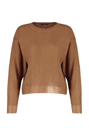 Stil Modern Kadın Regular Standart Kol Bisiklet Yaka Varak Baskılı Triko Kazak