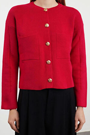 Kadın Modern Tarz Regular Bisiklet Yaka Regular Triko Hırka