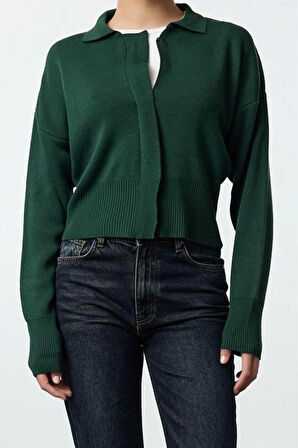 Kadın Modern Tarz Regular Polo Yaka Regular Triko Hırka