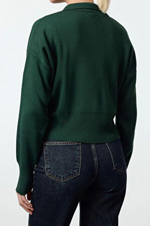 Kadın Modern Tarz Regular Polo Yaka Regular Triko Hırka