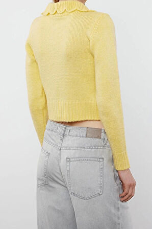 Kadın Modern Tarz Regular Polo Yaka Crop Triko Hırka