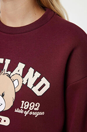 Tarz Bol Bisiklet Yaka Düşük Kol Uzun Baskılı Geniş Kalıp Kalın Örme Sweatshirt