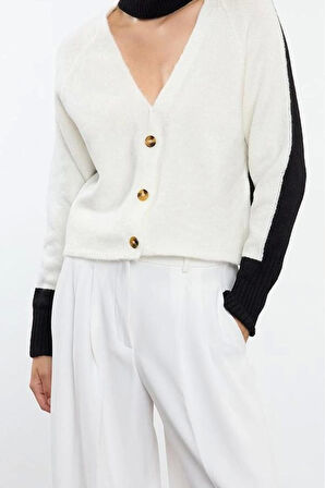 Kadın Modern Tarz Regular V Yaka Regular Triko Hırka