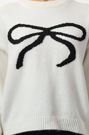 Stil Modern Kadın Regular Standart Kol Bisiklet Yaka Kurdele Desenli Triko Kazak