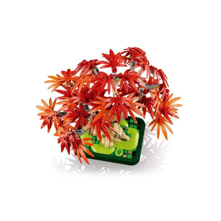 10348 iconic Japon Akçaağaç Bonsai Ağacı 474 parça +18 yaş