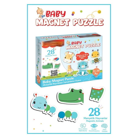 FP2939 Magnet Puzzle