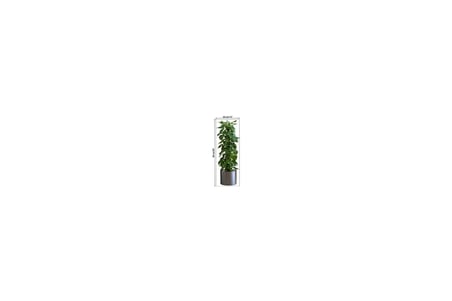 Saksılı Bitki Tasarımlı Yapışkanlı Sticker Resim 90*30 cm MC-665