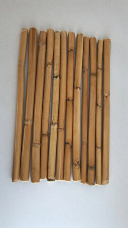 Bambu 30 cm. 12'li Paket