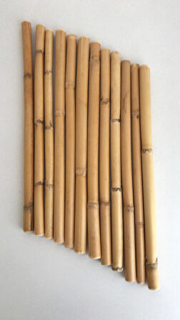 Bambu 30 cm. 12'li Paket