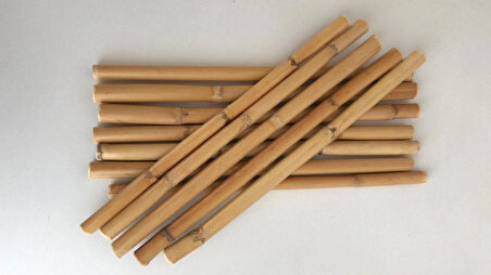 Bambu 50 cm. 12'li Paket