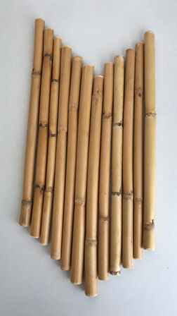 Bambu 75 cm. 12'li Paket
