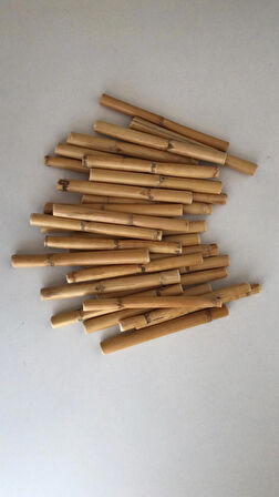 Bambu 10 cm. 12'li Paket