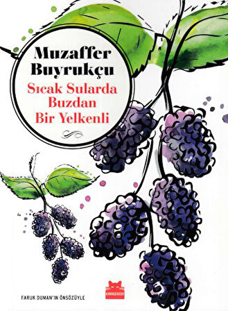 Sıcak Sularda Buzdan Bir Yelkenli-Korunaklı Poşetle