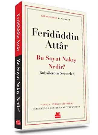 Bu Soyut Nakış Nedir?-Korunaklı Poşetle