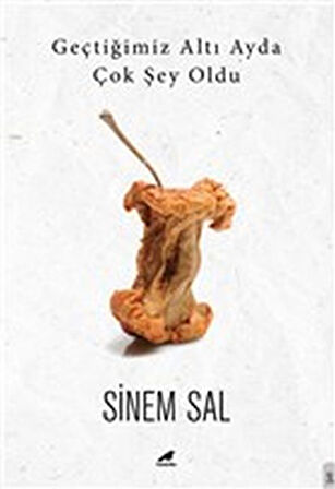 Geçtiğimiz Altı Ayda Çok Şey Oldu-Korunaklı Poşetle