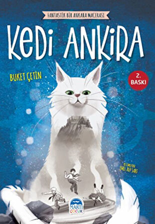 Kedi Ankira-Korunaklı Poşetle