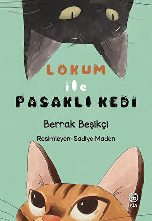 Lokum ile Pasaklı Kedi-Korunaklı Poşetle