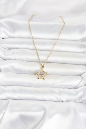 316L Çelik Zincir Gold Renk Caretta Caretta Model Kadın Kolye 5886