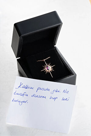 925 Ayar Gümüş Işıklı Kutuda Mor Taşlı Kutup Yıldızı Kolye