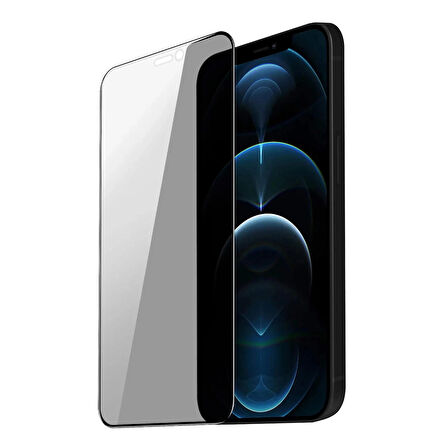 iPhone 12 / 12 Pro ”ESD ANTI-STATIC” Gizli Hayalet Cam Ekran Koruyucu