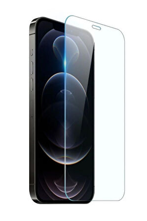 iPhone 12 Pro Max Temperli 9H Cam Ekran Koruyucu (2 ADET)