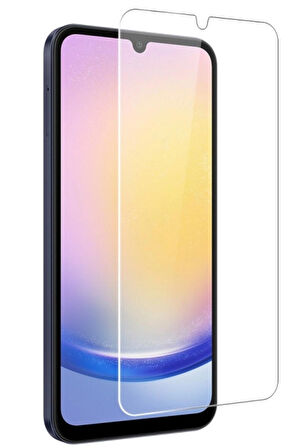 Samsung Galaxy A25 Temperli 9H Cam Ekran Koruyucu (2 ADET)