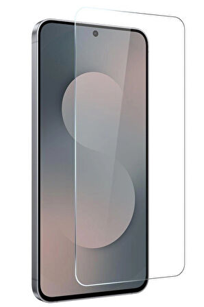 Samsung Galaxy S25 FE Ekran Koruyucu 9H Temperli Cam (2 ADET)