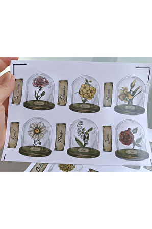 Vintage Scrapbook Fanus İçerisinde Çiçekler ve Aylar Etiket Seti, Bullet Journal, Planlayıcı Sticker