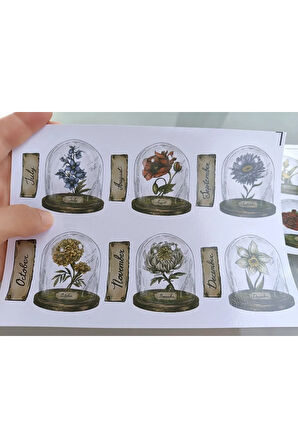 Vintage Scrapbook Fanus İçerisinde Çiçekler ve Aylar Etiket Seti, Bullet Journal, Planlayıcı Sticker