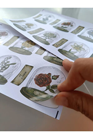 Vintage Scrapbook Fanus İçerisinde Çiçekler ve Aylar Etiket Seti, Bullet Journal, Planlayıcı Sticker