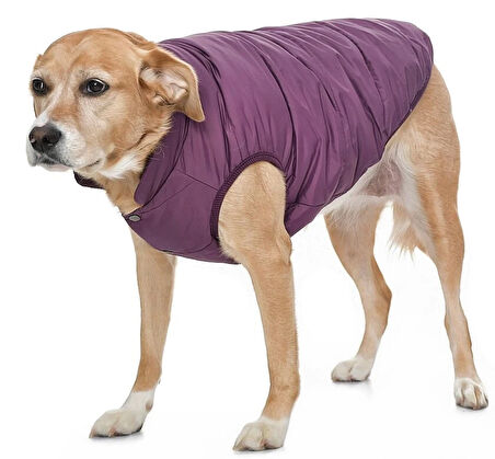 Orta Irk Köpek Mont - Magor