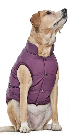 Orta Irk Köpek Mont - Magor