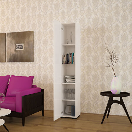Modilayn Tek Kapak 5 Raflı Dolap Banyo Dolabı