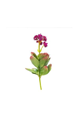 Yapay Adenium Obesum