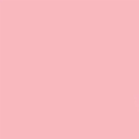 Gdx Seyyar Kağıt Sonsuz Stüdyo Fon Perde (Coral) 2.70x11 Metre