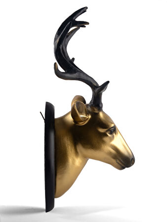 İhtişamlı Duvar Geyiği