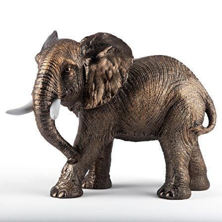 Fil Biblo (46x35 cm)