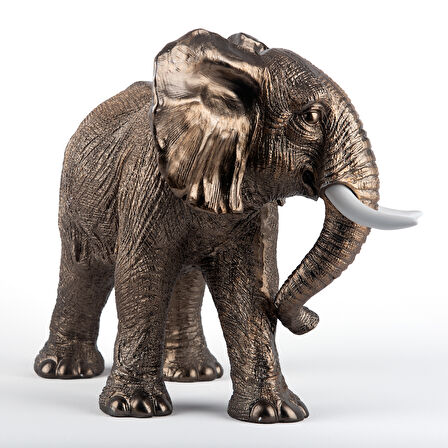 Fil Biblo (46x35 cm)