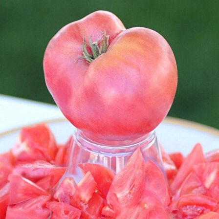 Etli Çok İri Meyveli Sevcan Sırık Pembe Domates Fidesi (5 adet)