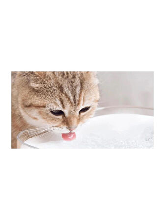 Xiaomi Smart Pet Fountain Akıllı Su Kabı