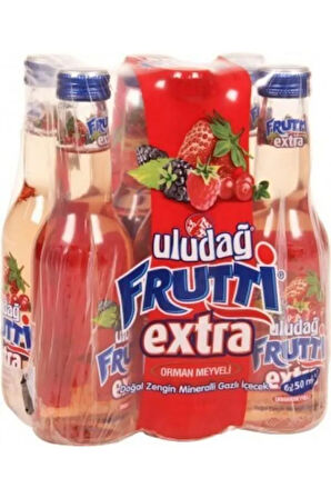 Frutti Extra Orman Meyveli Gazlı Içecek 250 Ml X 24 Adet