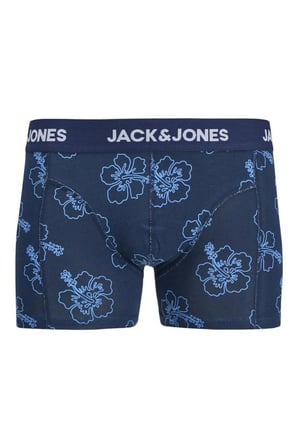 Anthony Print Erkek 3'lü Boxer (12298171-PBL)