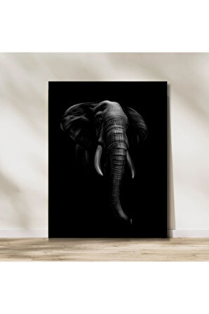 Elephant in Darkness Kanvas Tablo