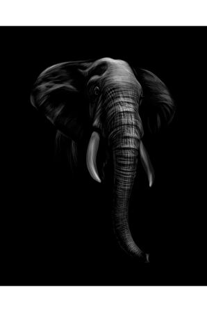 Elephant in Darkness Kanvas Tablo