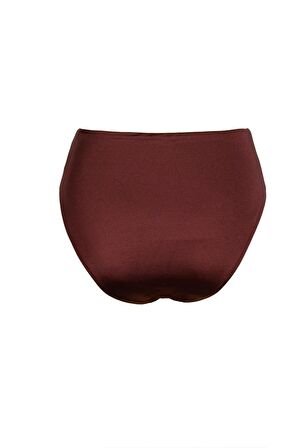 Endeep Kadın High Leg Yüksek Bel Bordo Bikini Altı